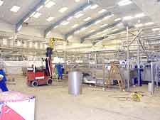 Plant Installation & Layout