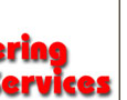 Engineering Services have expereince in the Food and Petro/chemical industries both at home and abroad.